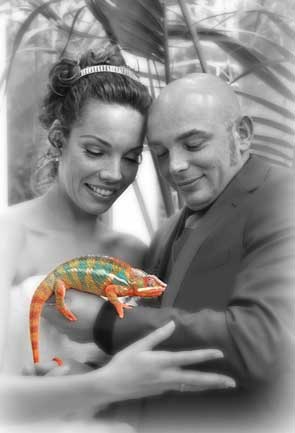 kameleon