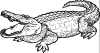 alligator1.gif (12034 bytes)