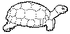 landschildpad 2.gif (7367 bytes)