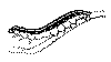 rups1a.gif (8721 bytes)