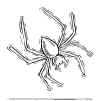 spin3.jpg (119040 bytes)